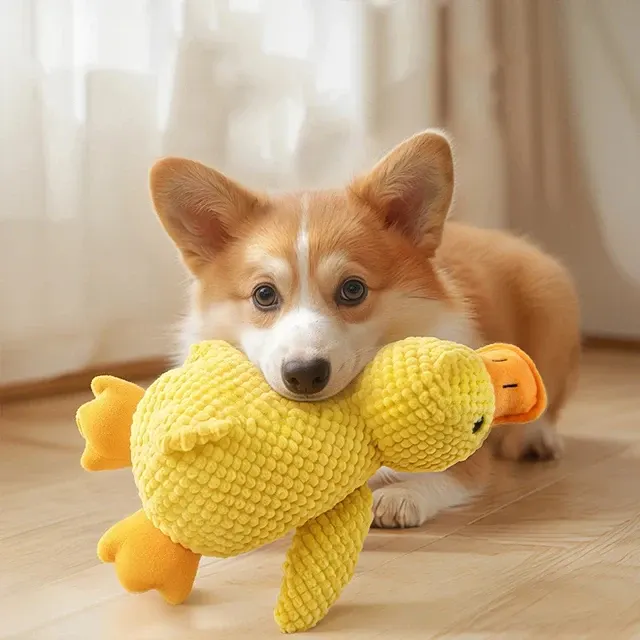 Plüsch-Hundespielzeug 4