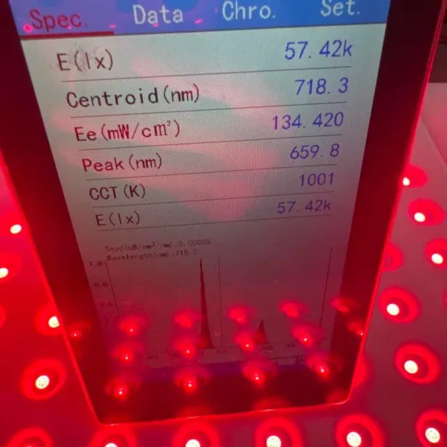 Red Light Therapy Mat 3