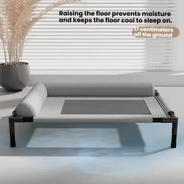 Elevated Dog Bed 2