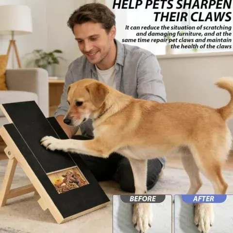 Dog Scratch Board