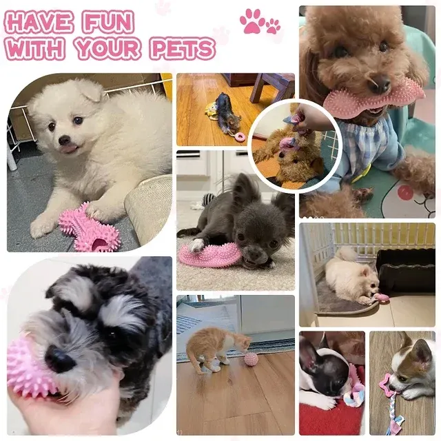 Dental Care Dog Toy 2