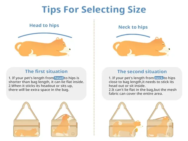 pet carrier backpack 3