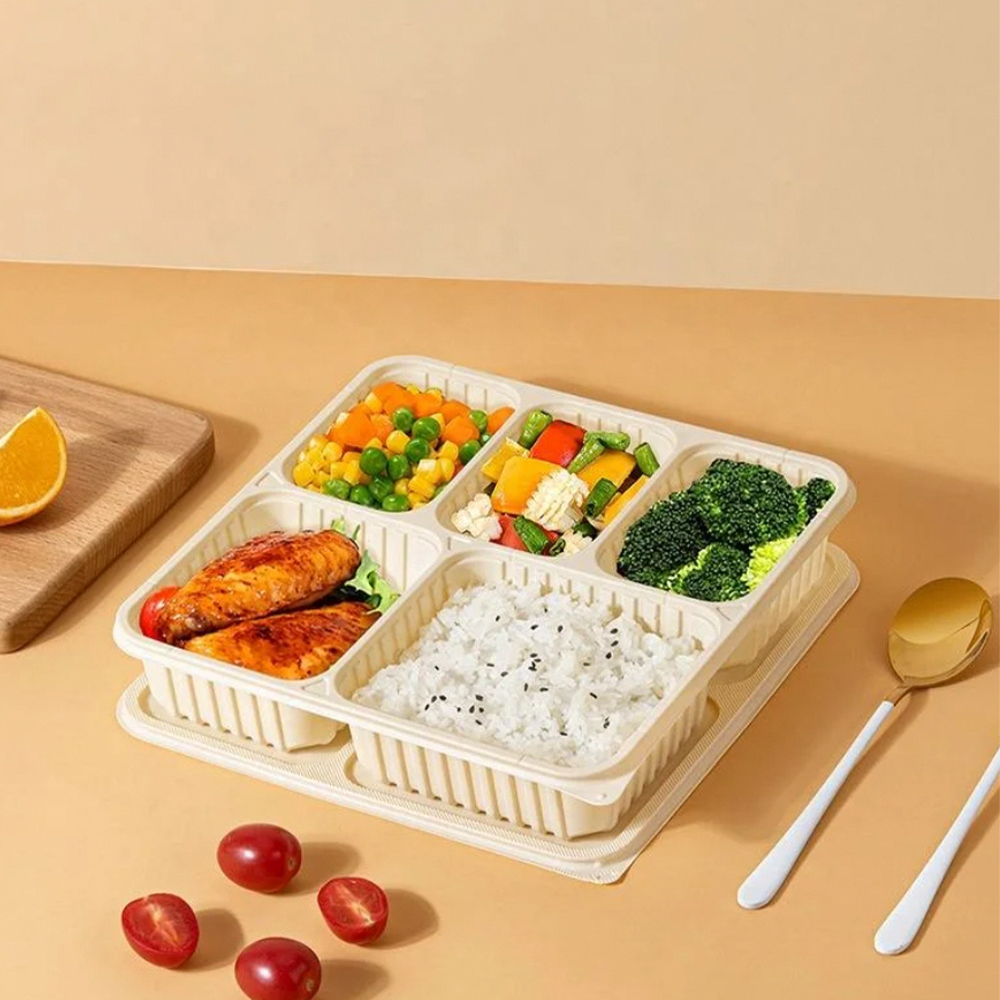 5-Compartment Cornstarch Bento Lunch Box 3