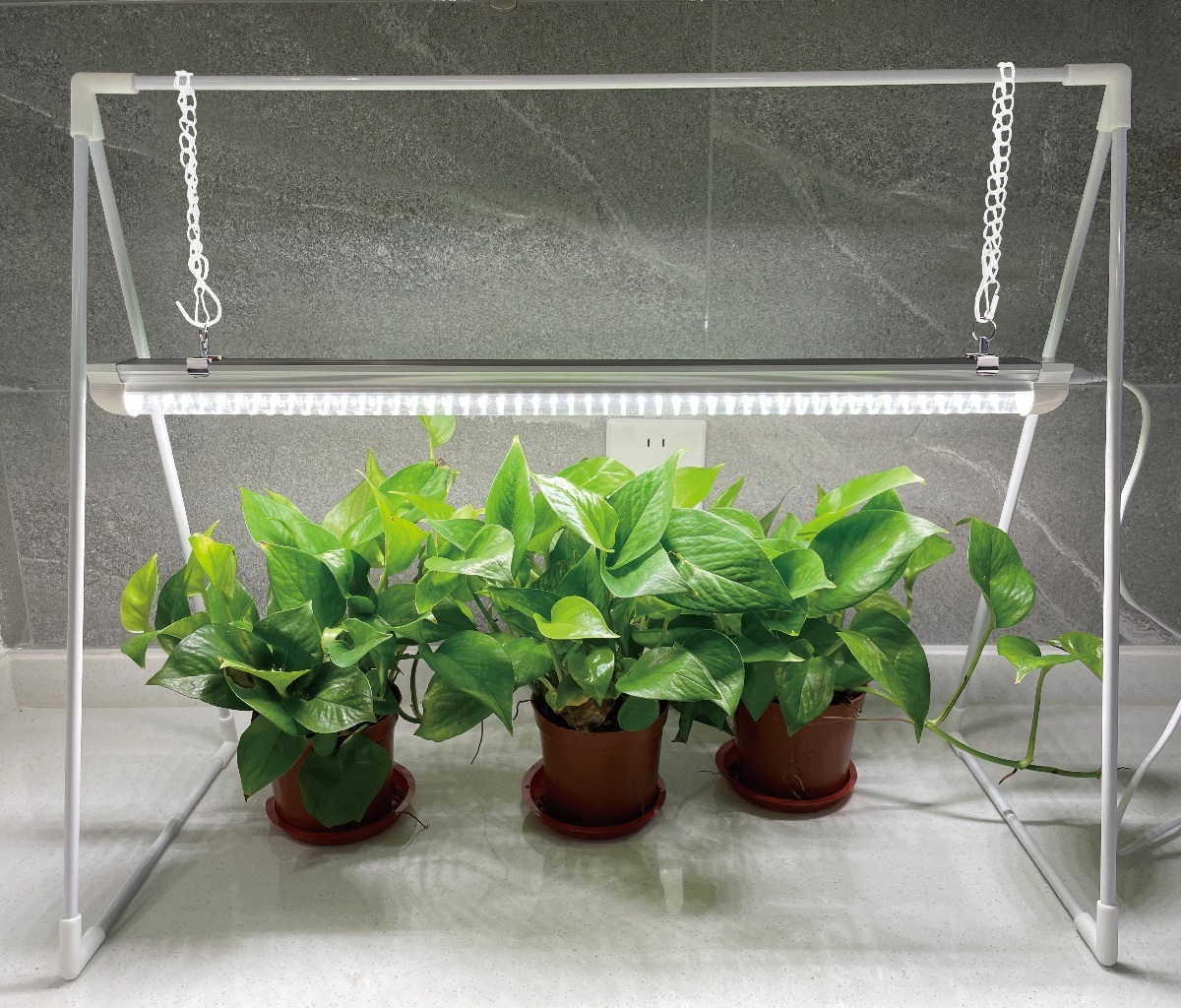 LED Grow Light with Frame for Vegetables 2