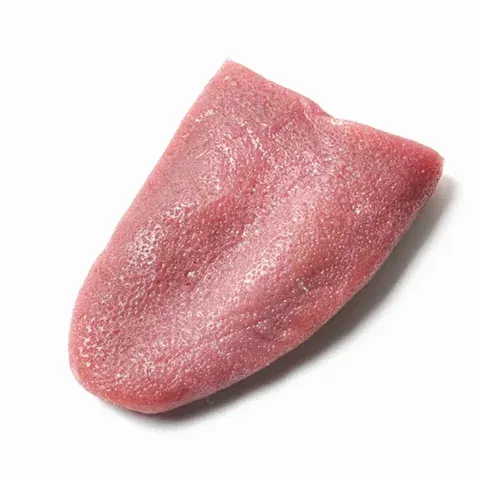Fake Stretchy Tongue