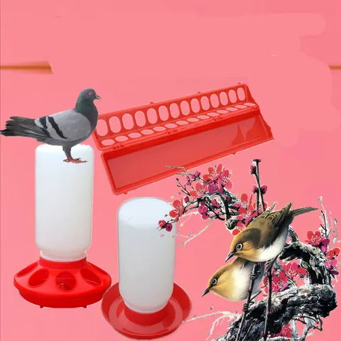 Bird Bath