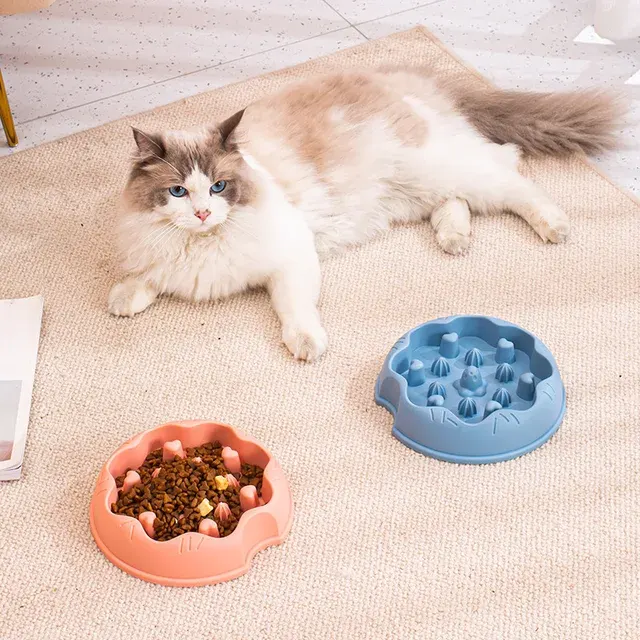 Slow Feeder Dog Bowl With Design 4