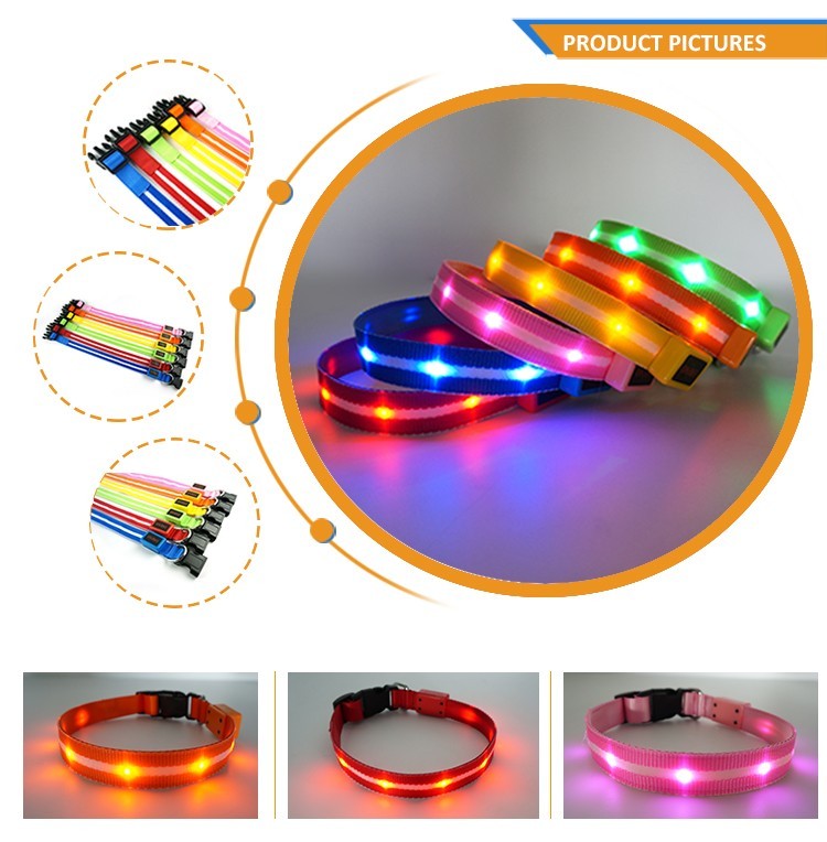 Rechargeable Light-Up LED Dog Belt 2