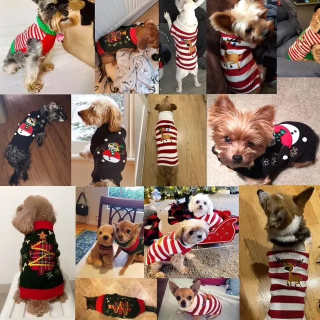 Dog Sweater 4