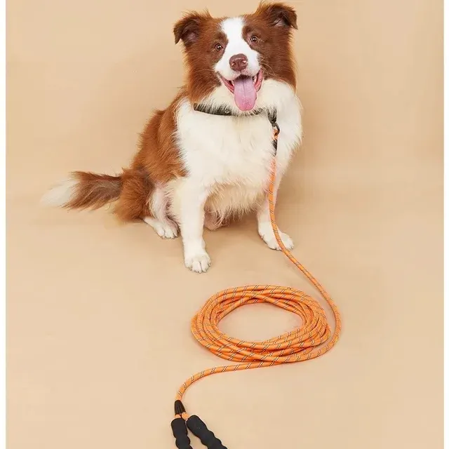 Dog Leash 2