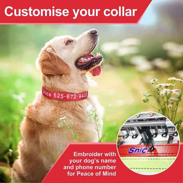 Embroidered Dog Collar 4