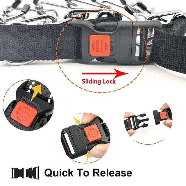Adjustable Stainless Steel Dog Training Collar 3