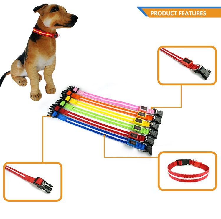 Rechargeable Light-Up LED Dog Belt 3