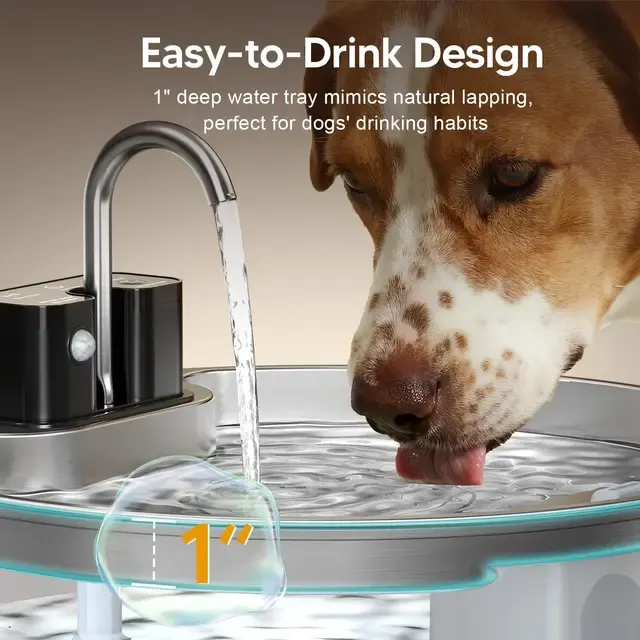 Pet Water Fountain 3