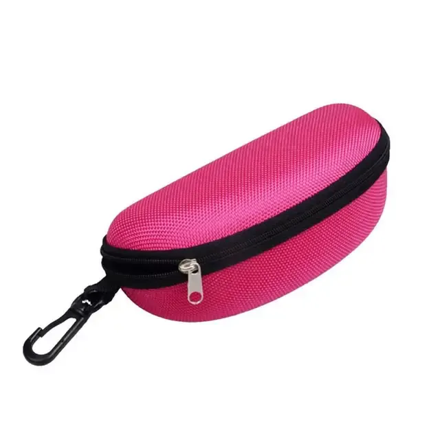 Eyeglass Case 4