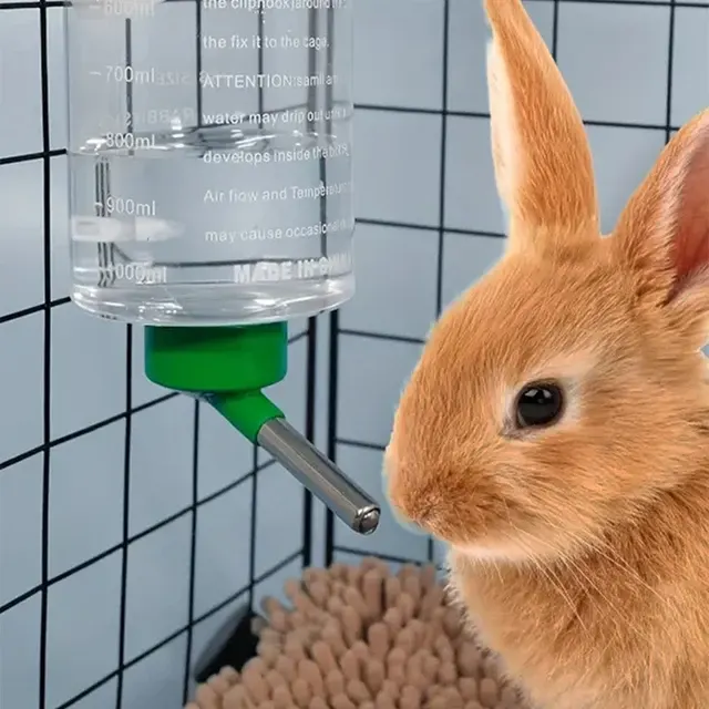 Small Pet Water Bottle 2