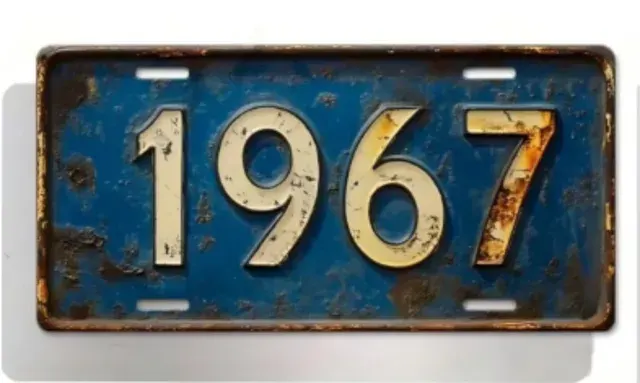 Retro Metal License Plate 2