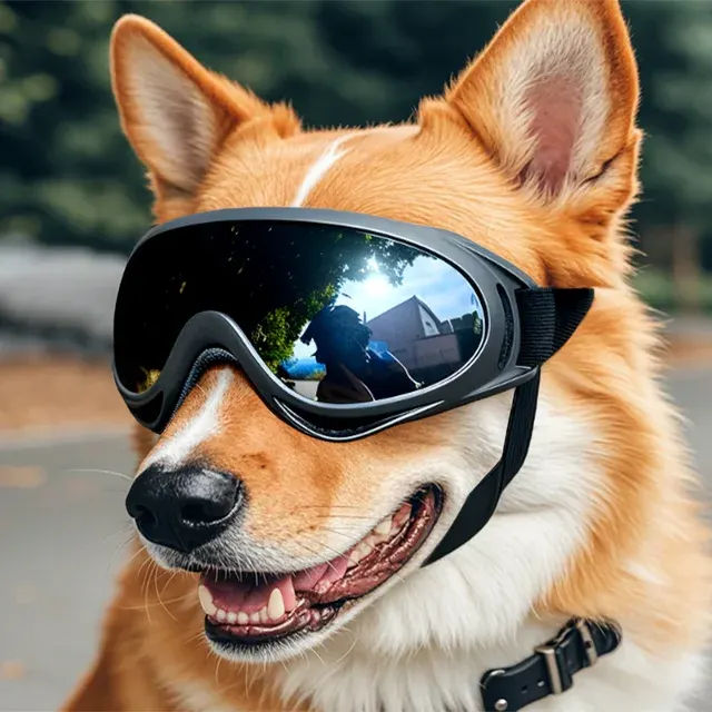 dog sunglasses 2