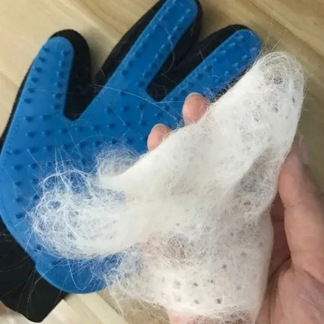 Pet Grooming Glove 2