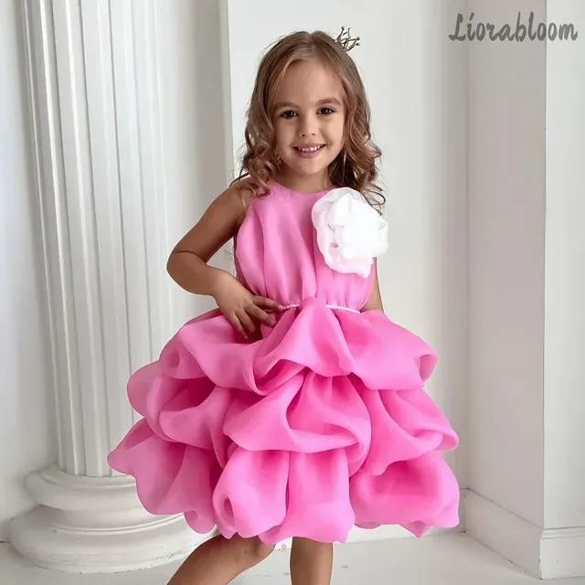 Princess Dress 1