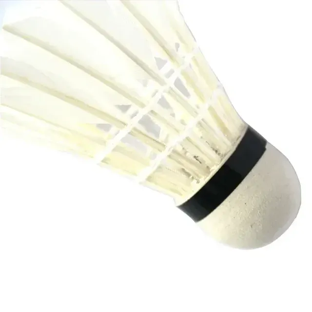 LED Shuttlecock 3