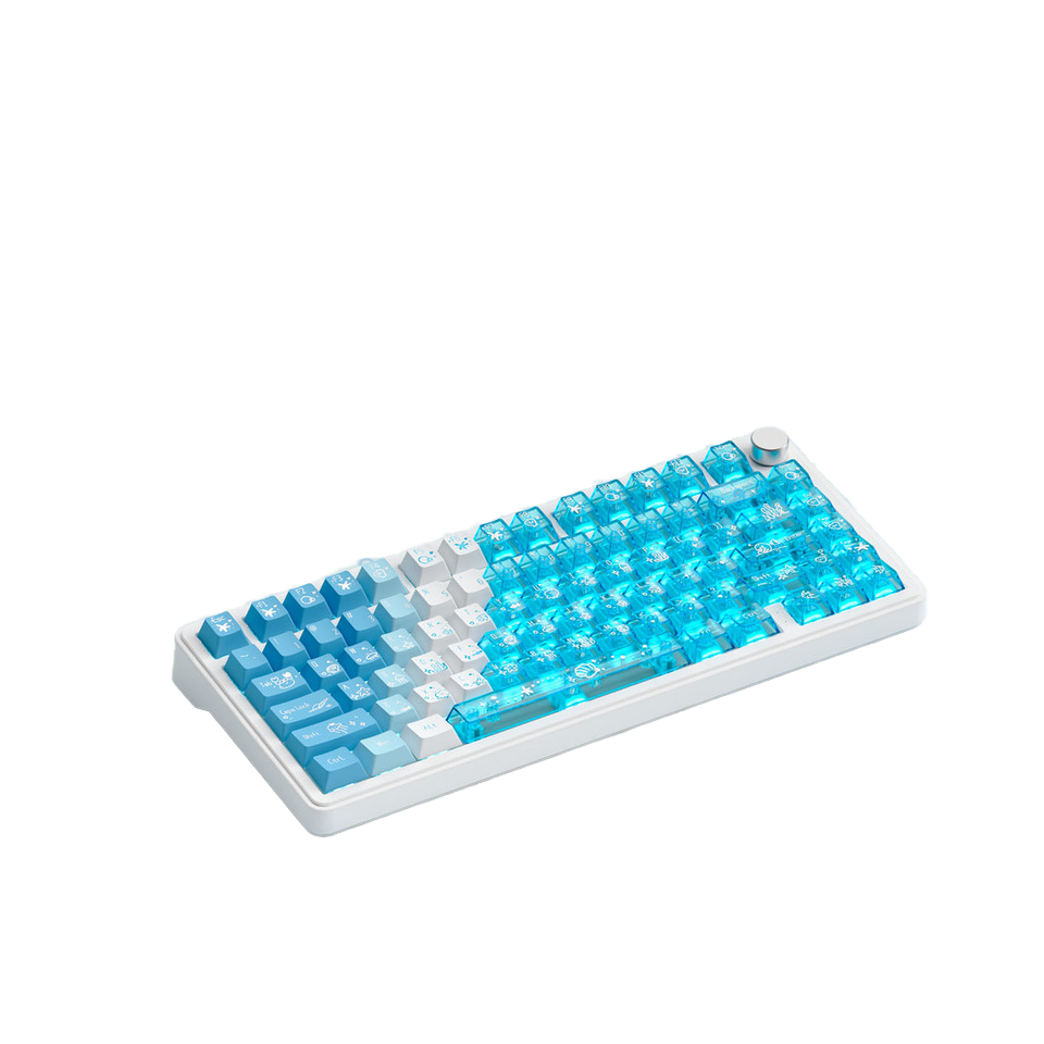Wireless Mechanical Gaming Keyboard with Hotswap Switches 3
