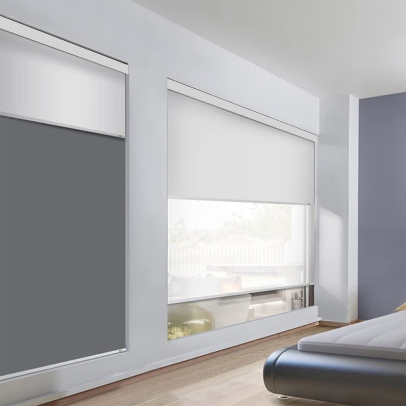 Design Day and Night Double Layer Google Alexa 2
