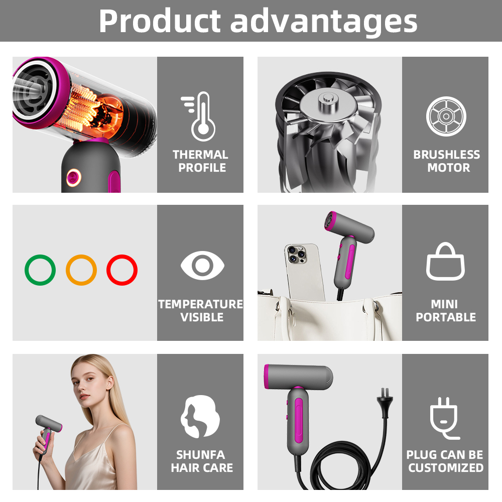 Professional Ionic Hair Dryer Brushless Motor 2