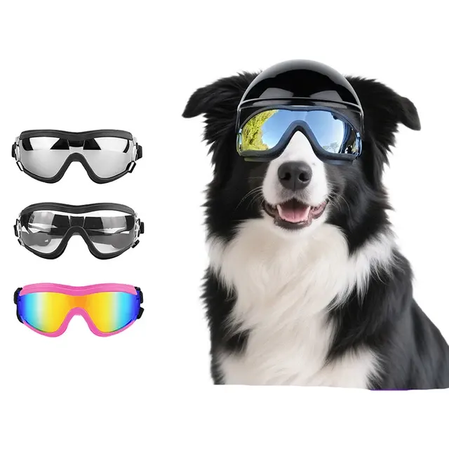 Hunde-Sonnenbrille 1