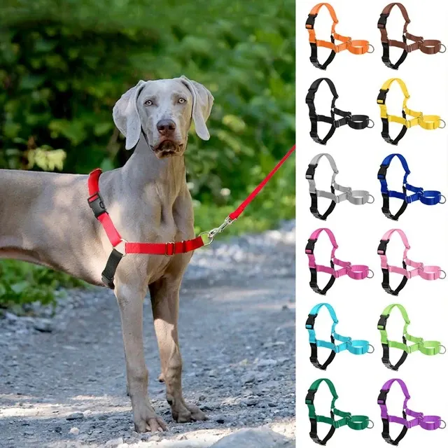 Hundegeschirr-Weste 1