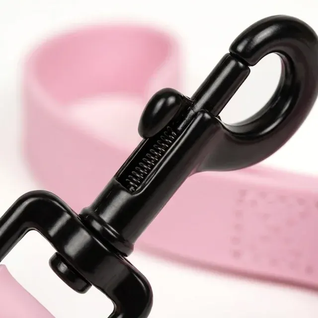 Dog Leash 2