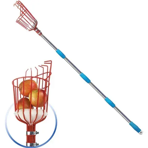 Fruit Picker