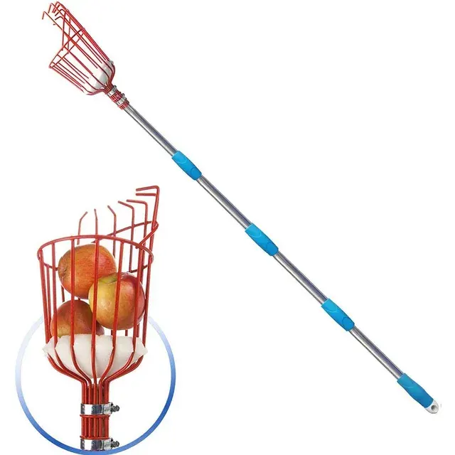 Fruit Picker 1