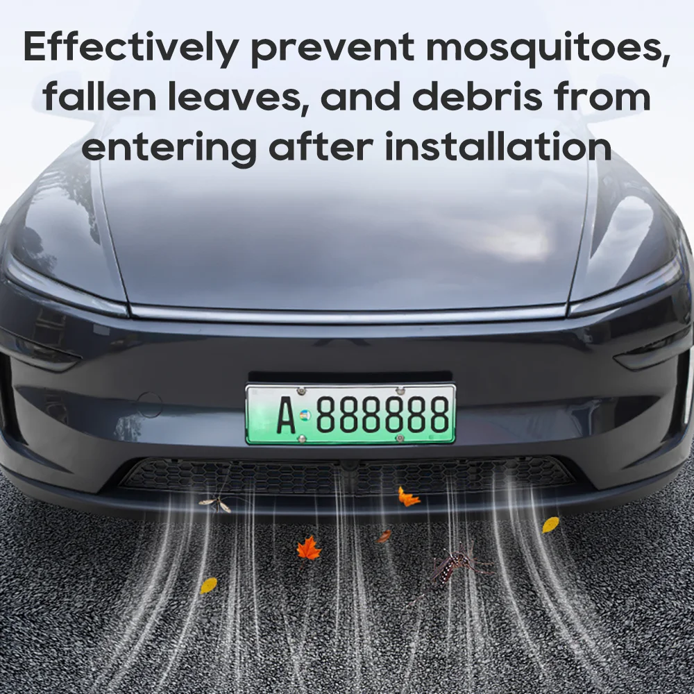 Anti-Insect Mesh for Lower Bumper 4