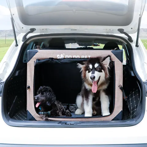 Dog Tent