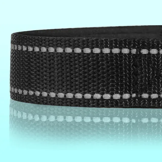 Reflektierendes Hundehalsband 4
