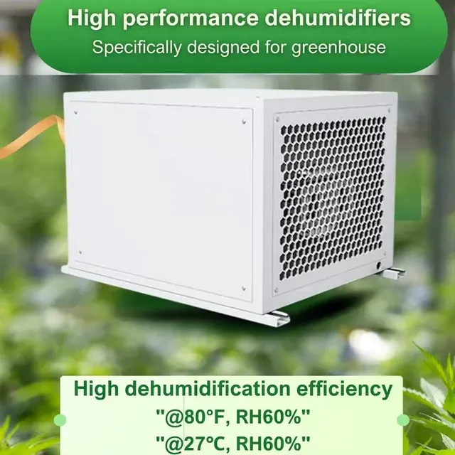 166L Grow Room Dehumidifier for Mushrooms 4