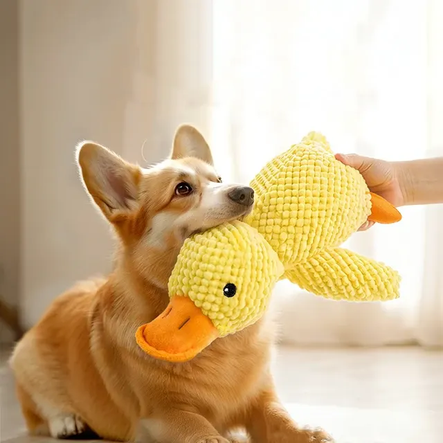 Plush Duck Dog Toy 3