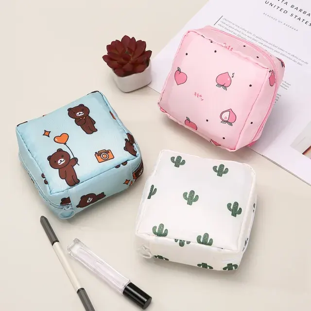 Sanitary Pad Case 3