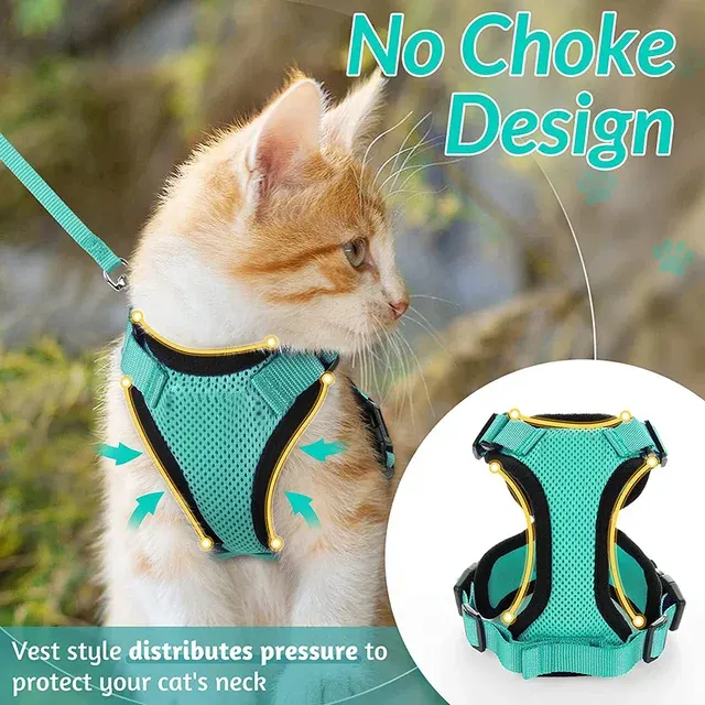 Cat Harness 3
