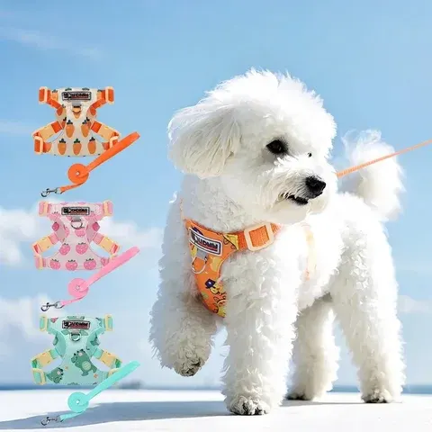 Dog Harness Set