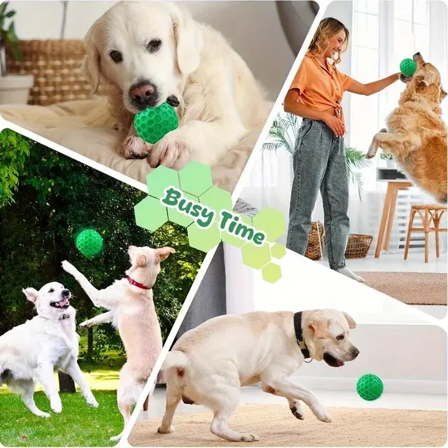 Dog Chew Toy 4