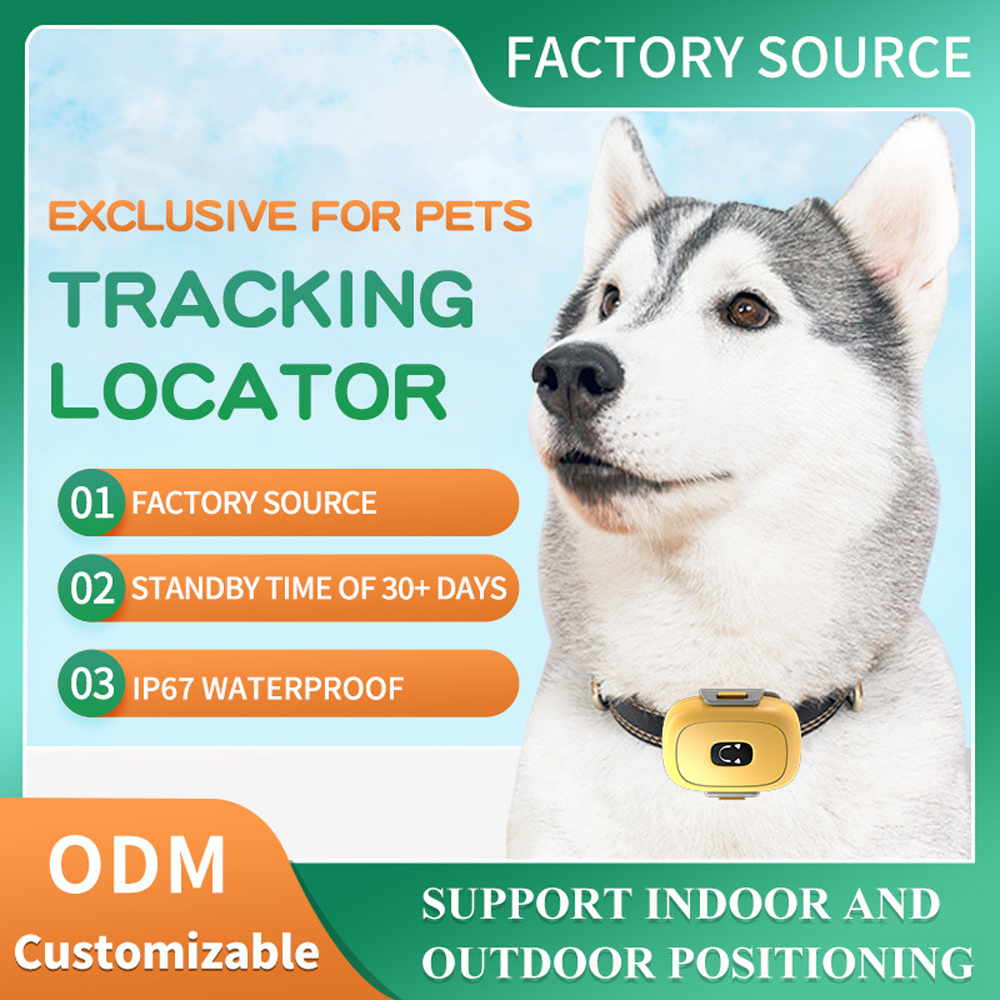 Multi-GPS Dog Locator with Route History IP67 2