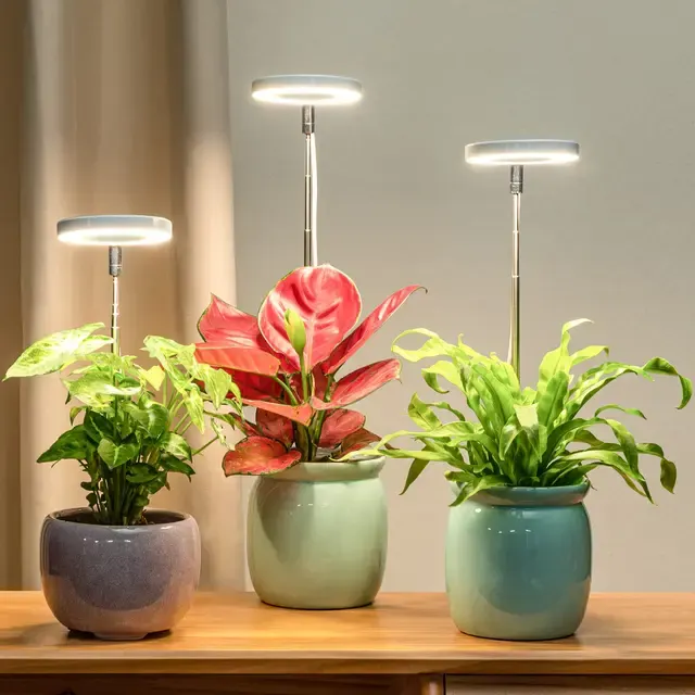 Full Spectrum LED Grow Lamp with Timer 2