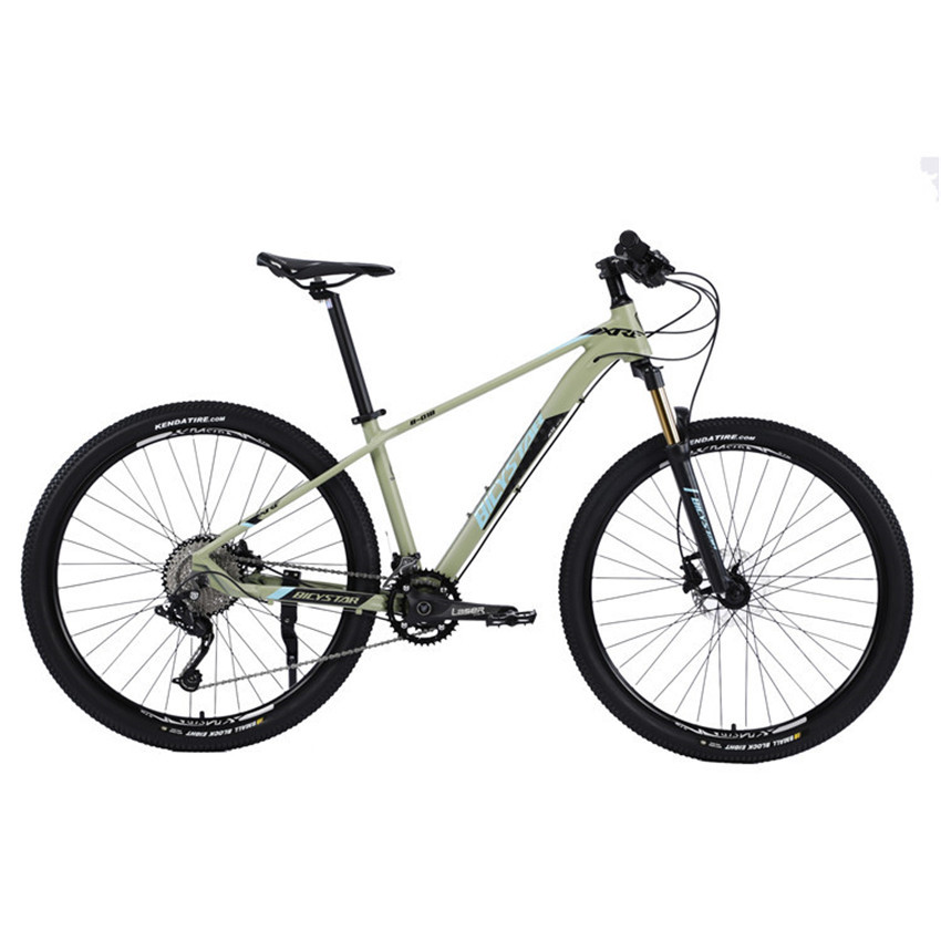 Full Suspension 29 Inch 21-Speed Steel Mountain Bike 4