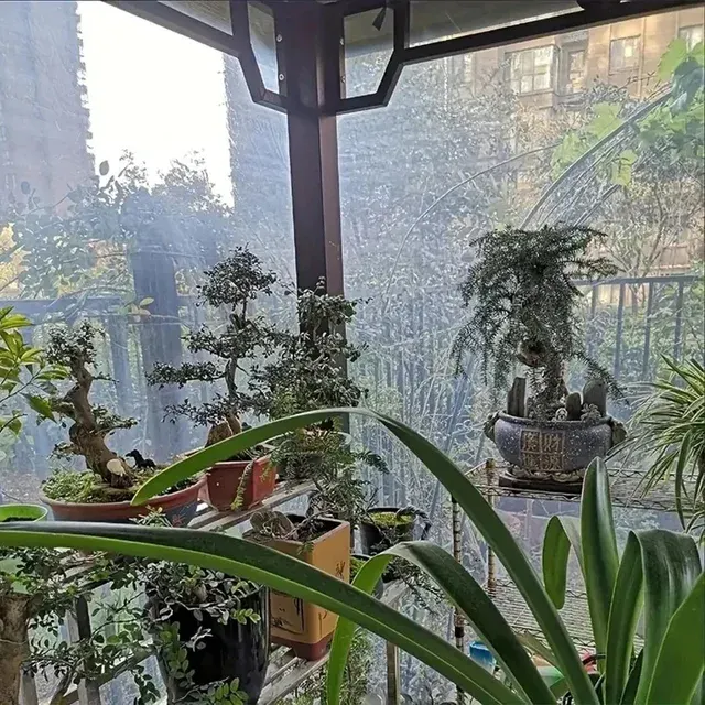 Perforated Garden Tarp 4