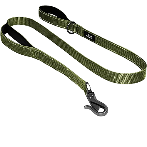 Heavy Duty Nylon Dog Leash 6ft
