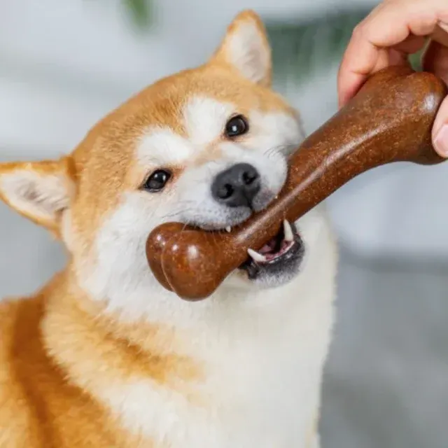 Indestructible Dog Chew Bone Toy 3