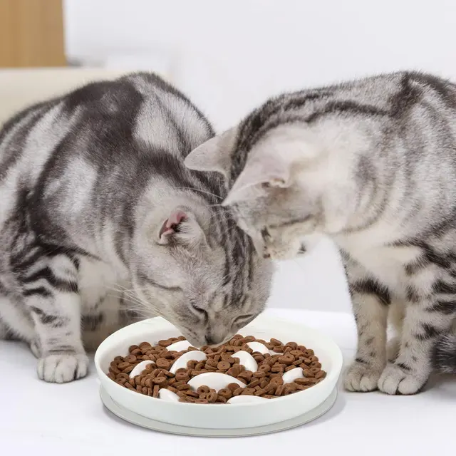 Slow Feeder Cat Bowl 3