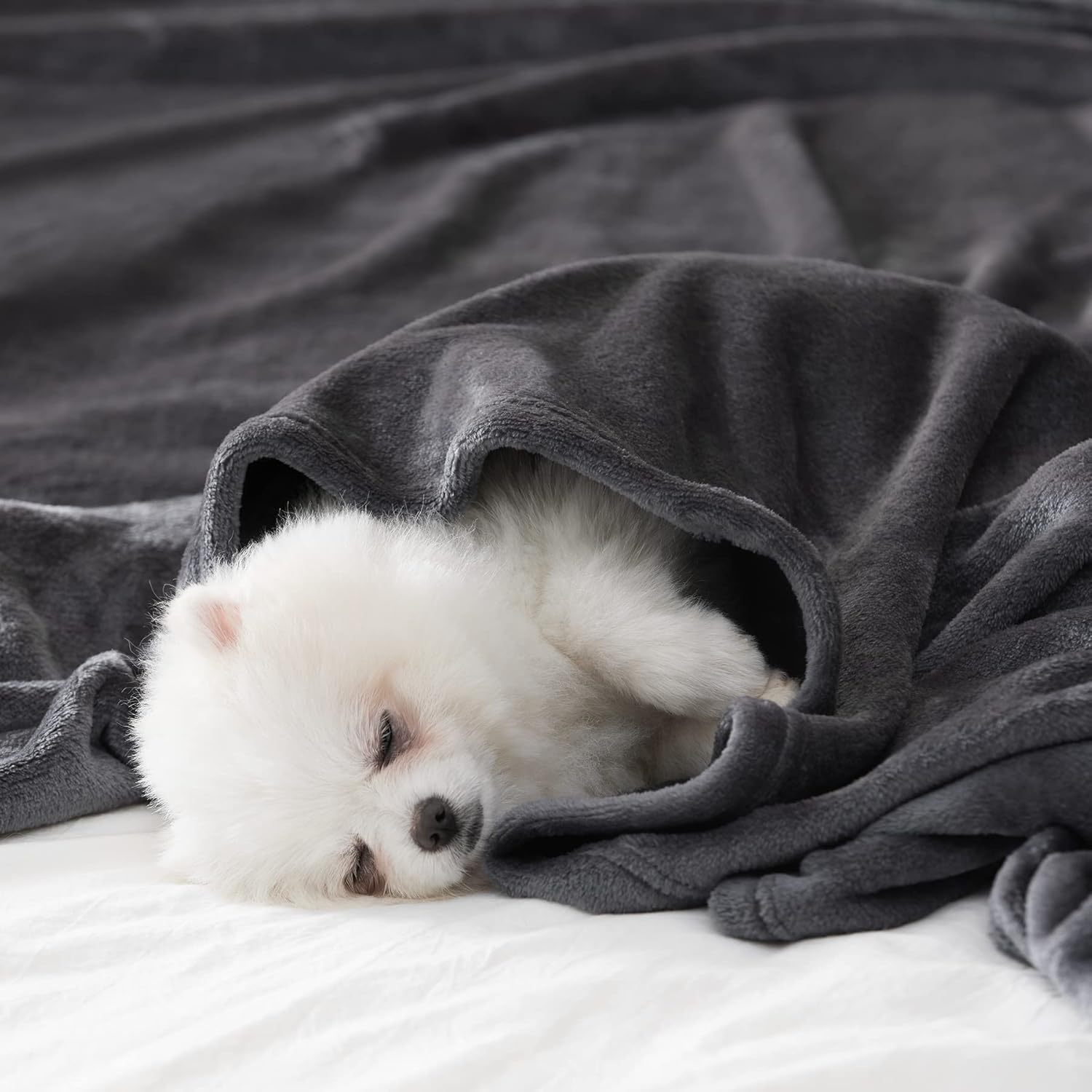 Super Soft Solid Fleece Lap Blanket 3